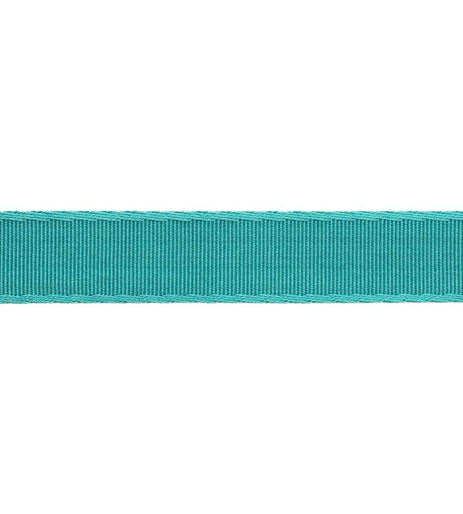 38mm Francoise Border Trimming by Samuel & sons Capri