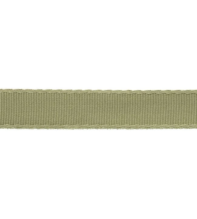 38mm Francoise Border Trimming by Samuel & sons Celadon
