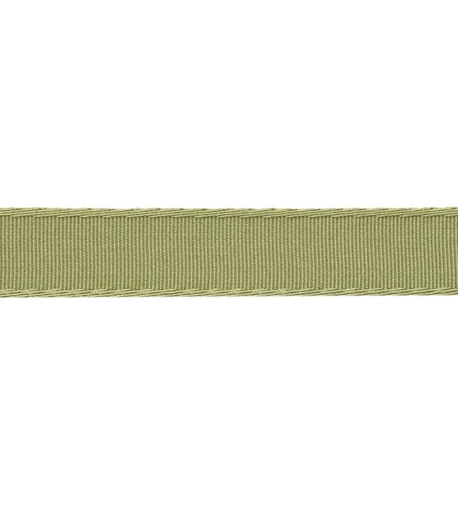 38mm Francoise Border Trimming by Samuel & sons Celery