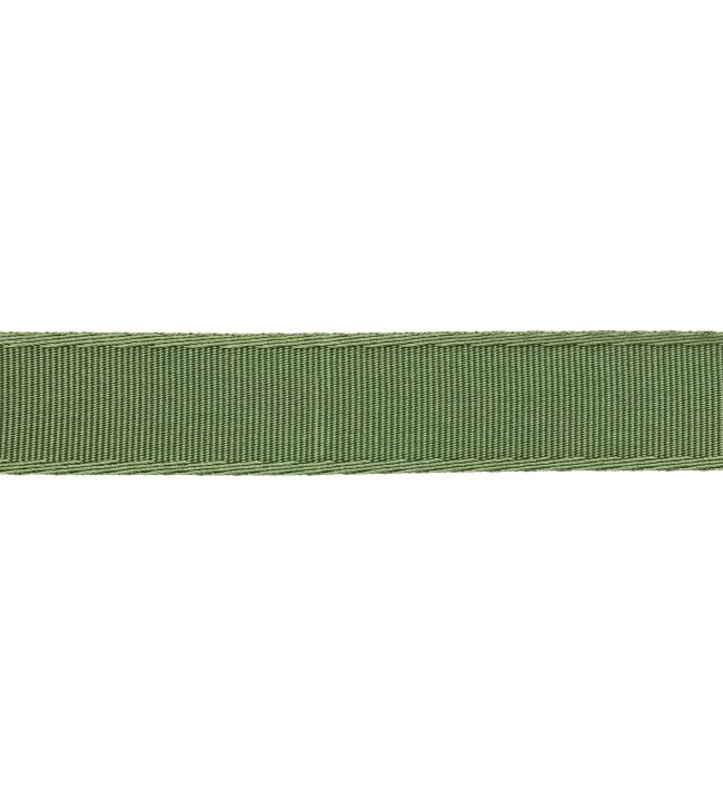 38mm Francoise Border Trimming by Samuel & sons Chive