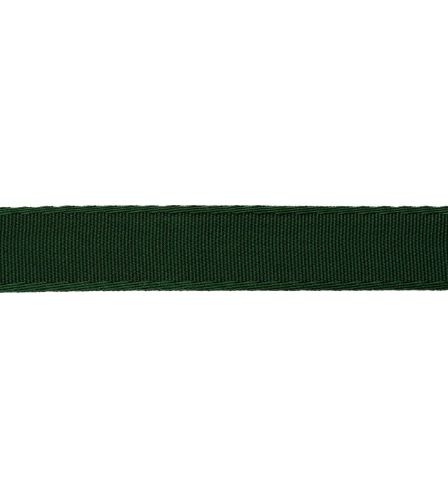 38mm Francoise Border Trimming by Samuel & sons Forest
