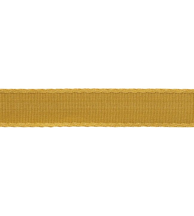 38mm Francoise Border Trimming by Samuel & sons Honey
