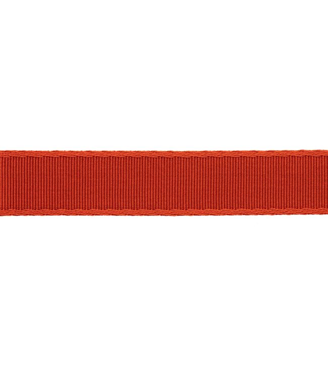 38mm Francoise Border Trimming by Samuel & sons Koi