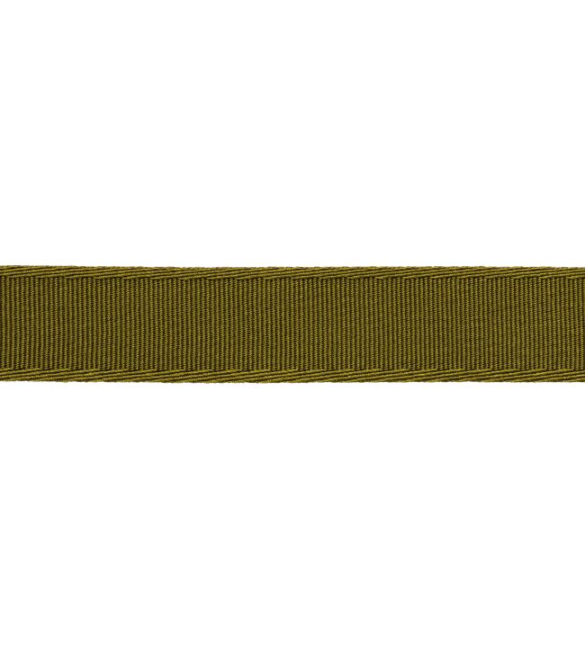 38mm Francoise Border Trimming by Samuel & sons Moss