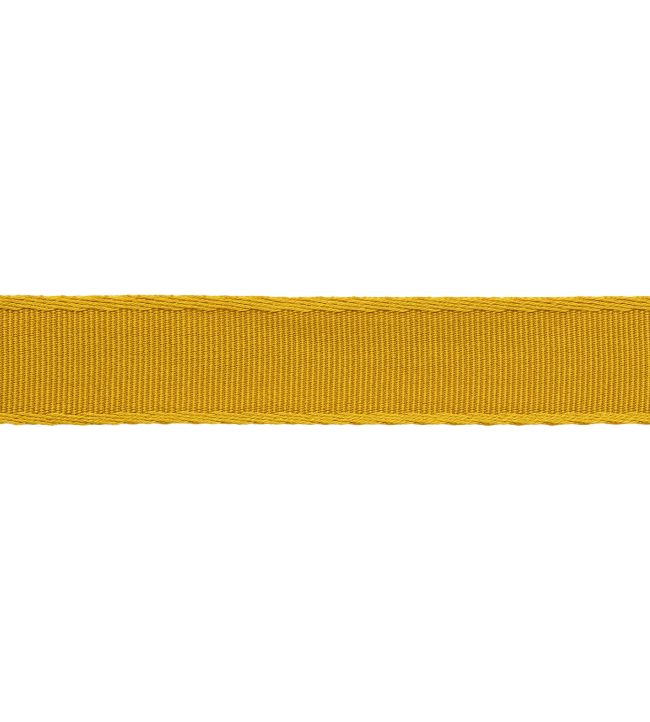 38mm Francoise Border Trimming by Samuel & sons Oro