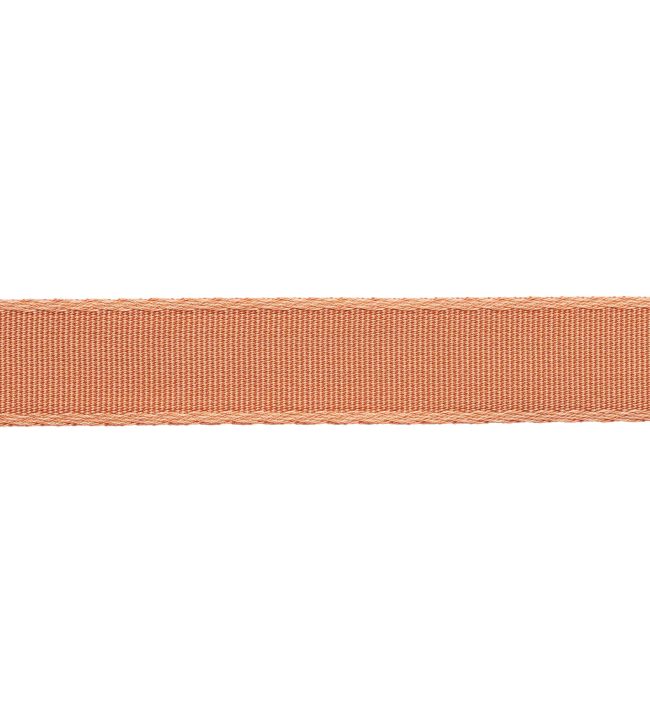 38mm Francoise Border Trimming by Samuel & sons Salmon