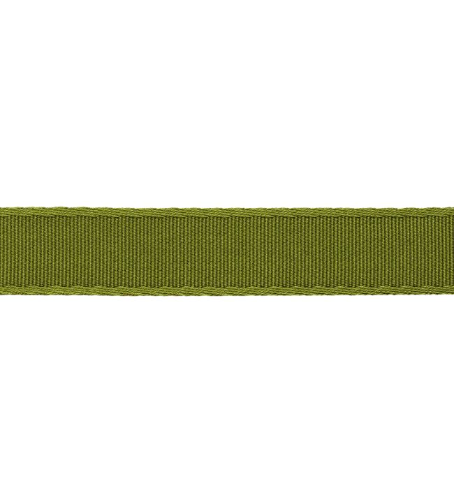 38mm Francoise Border Trimming by Samuel & sons Verde