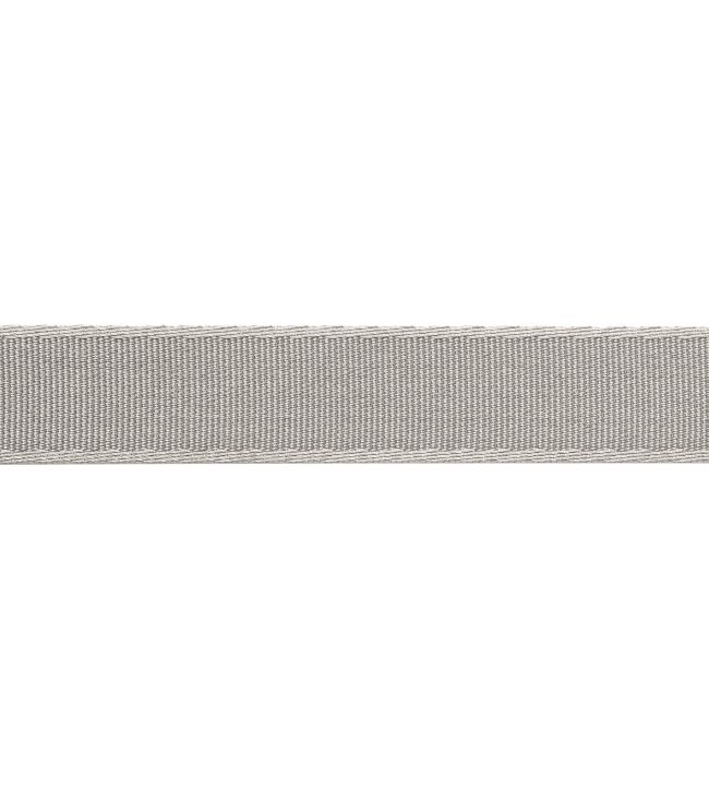 38mm Francoise Metallic Border Trimming by Samuel & sons Silver