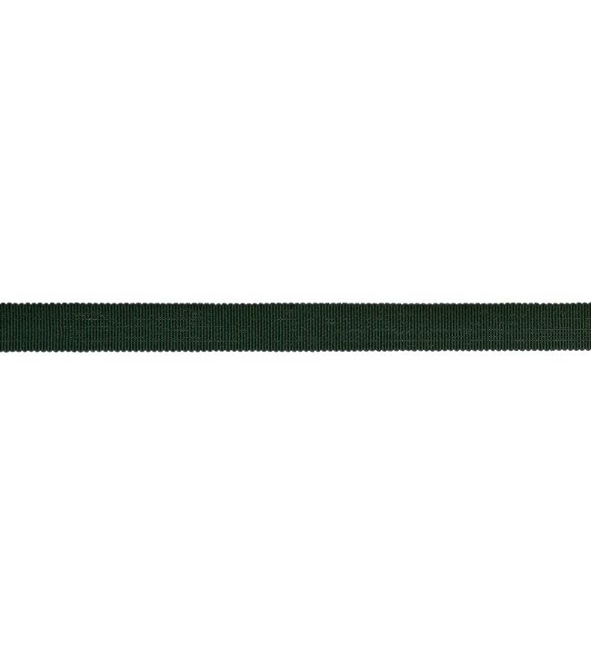 5/8 French Grosgrain Ribbon Trimming by Samuel & sons Juniper
