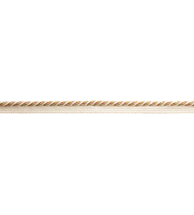 5mm Trianon Cord with Tape Trimming by Samuel & Sons Chiffon