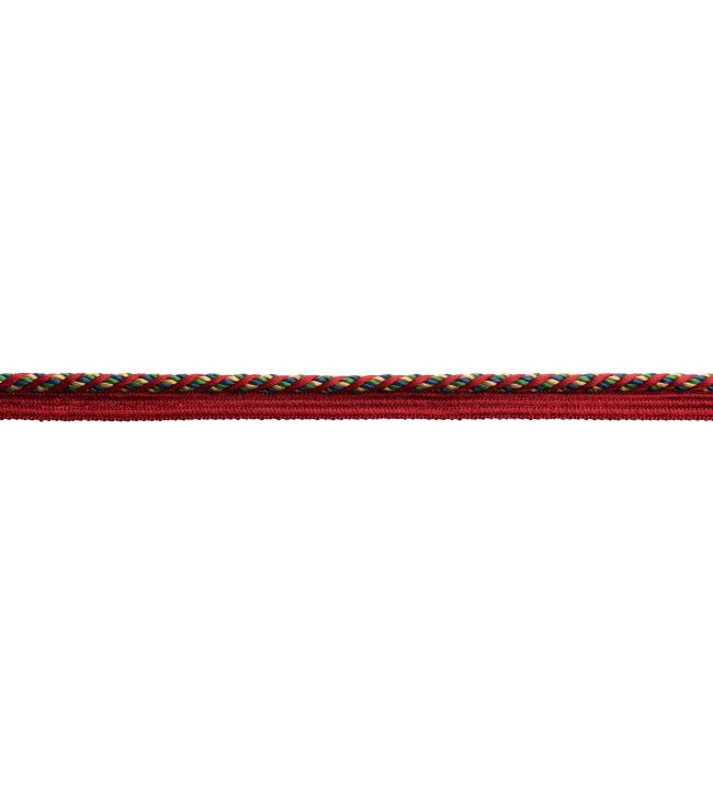 5mm Trianon Cord with Tape Trimming by Samuel & Sons Jewel