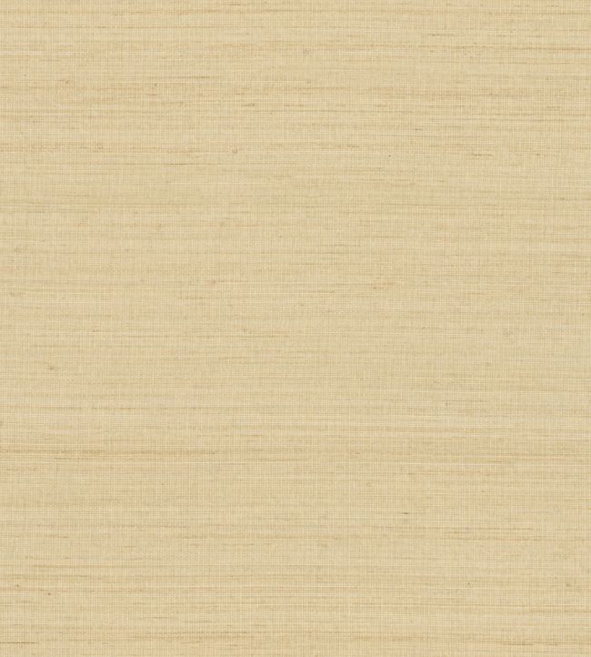 Abaca Wallpaper by Nobilis Light Linen