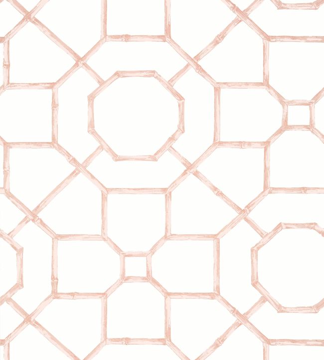 Abbor Wallpaper by Thibaut Blush