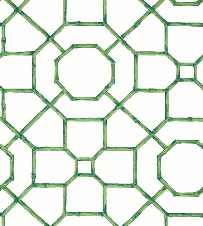 Abbor Wallpaper by Thibaut Emerald