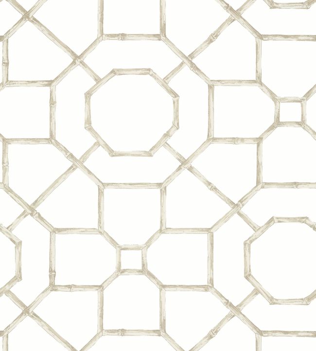 Abbor Wallpaper by Thibaut Flax