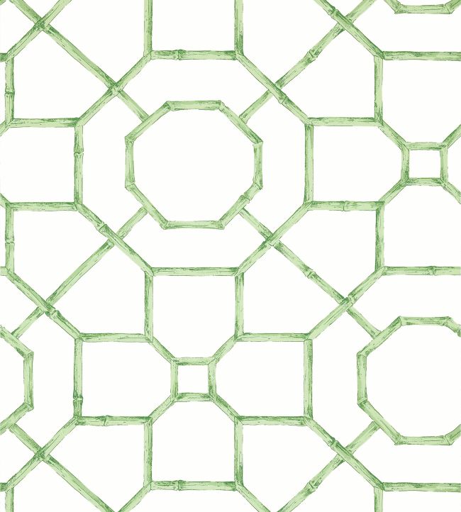 Abbor Wallpaper by Thibaut Green