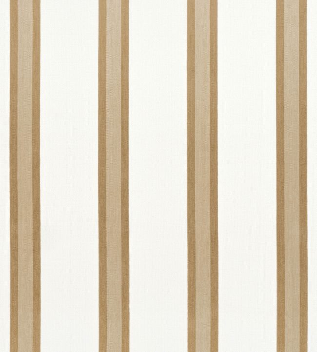 Abito Stripe Fabric by Thibaut Camel