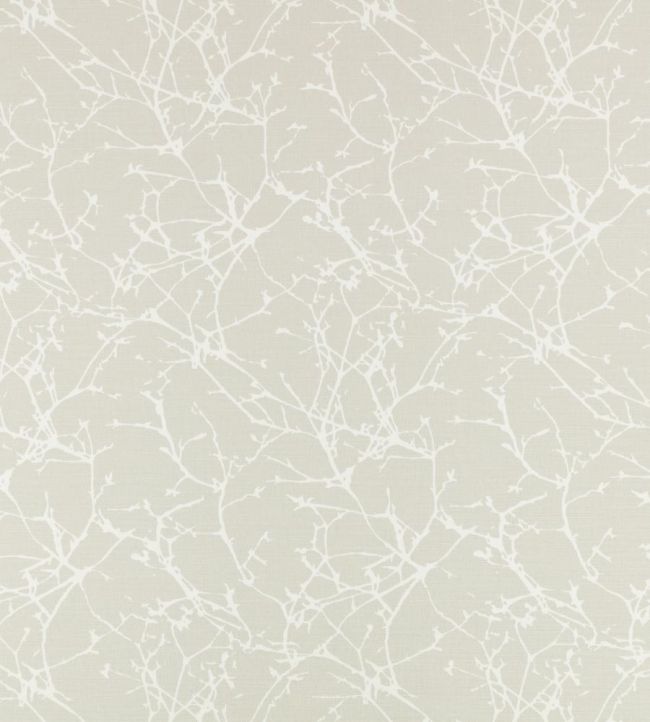 Acacia Fabric by Romo Shell