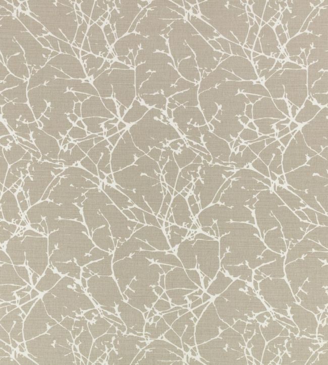Acacia Fabric by Romo String