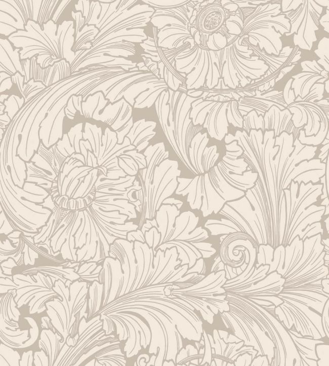 Acanthus Wallpaper by Cole & Son Cream & Pebble
