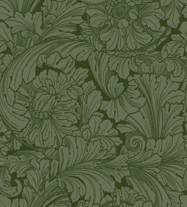 Acanthus Wallpaper by Cole & Son Forest
