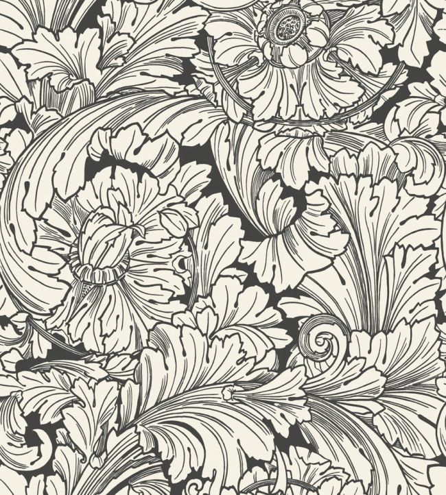 Acanthus Wallpaper by Cole & Son Soot & Snow