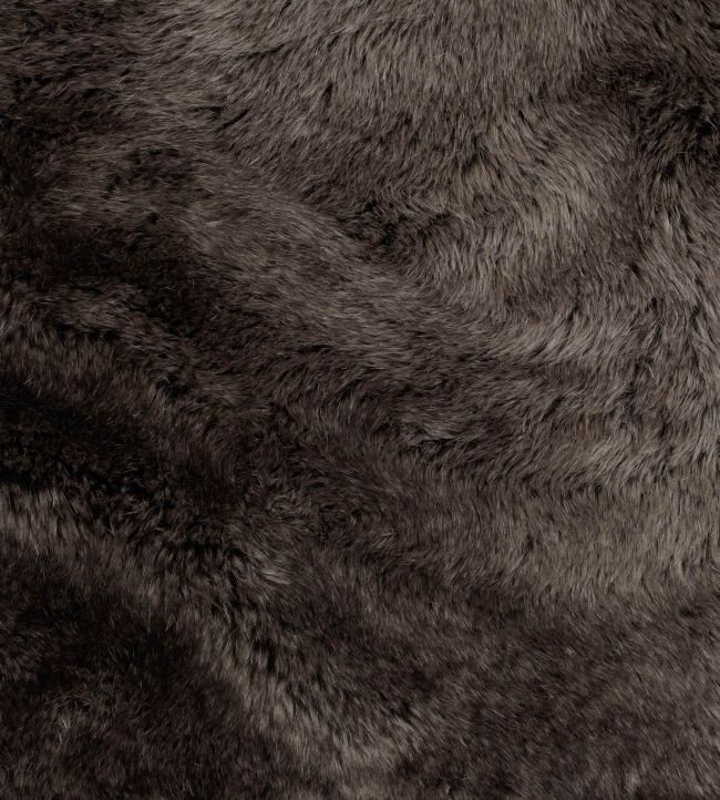 Accalia FR Fabric by Warwick Sable