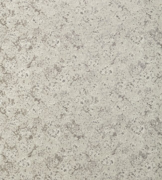 Aconite Fabric by Harlequin Steel/Chalk