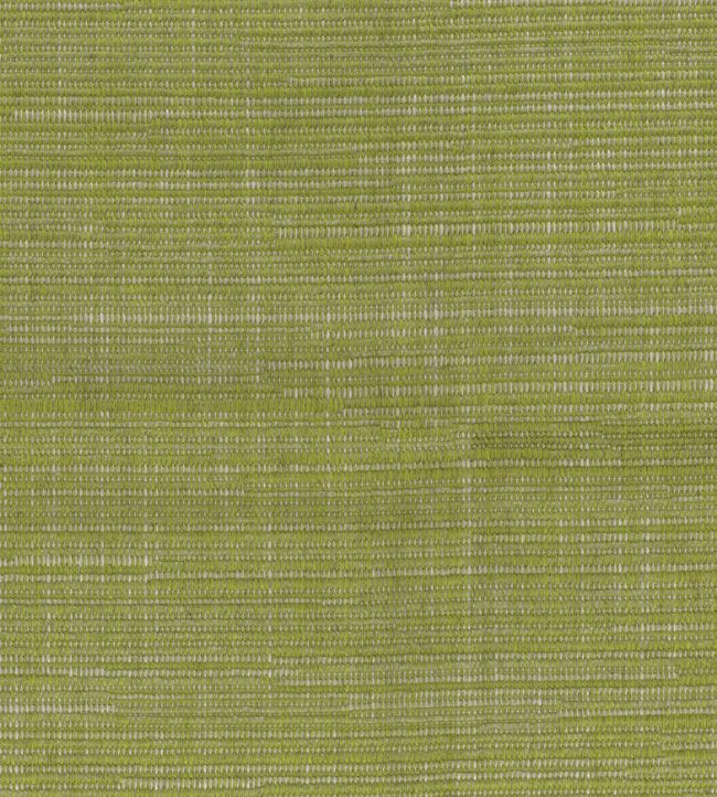 Adria Fabric by Nina Campbell Leaf