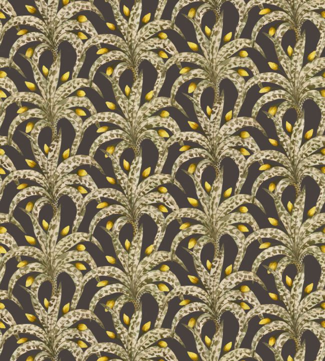 Afrika Damask Wallpaper by Cole & Son Onyx & Citrine