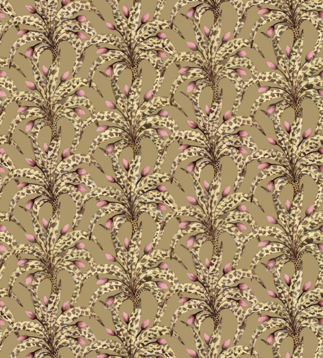 Afrika Damask Wallpaper by Cole & Son Safari & Blush