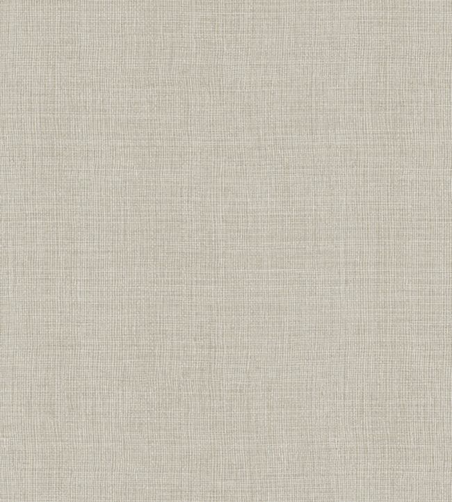 Alba Wallpaper by Jannelli&Volpi Grey