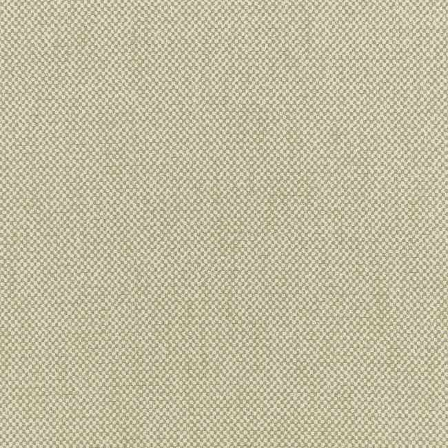 Albers Fabric by Villa Nova Rosemary