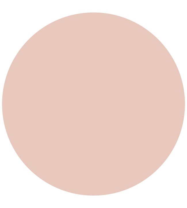 Alhambra Stone 1829 Gloss Paint by Craig & Rose Alhambra Stone