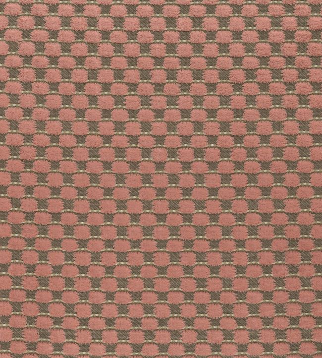 Alisa Fabric by Osborne & Little Blush