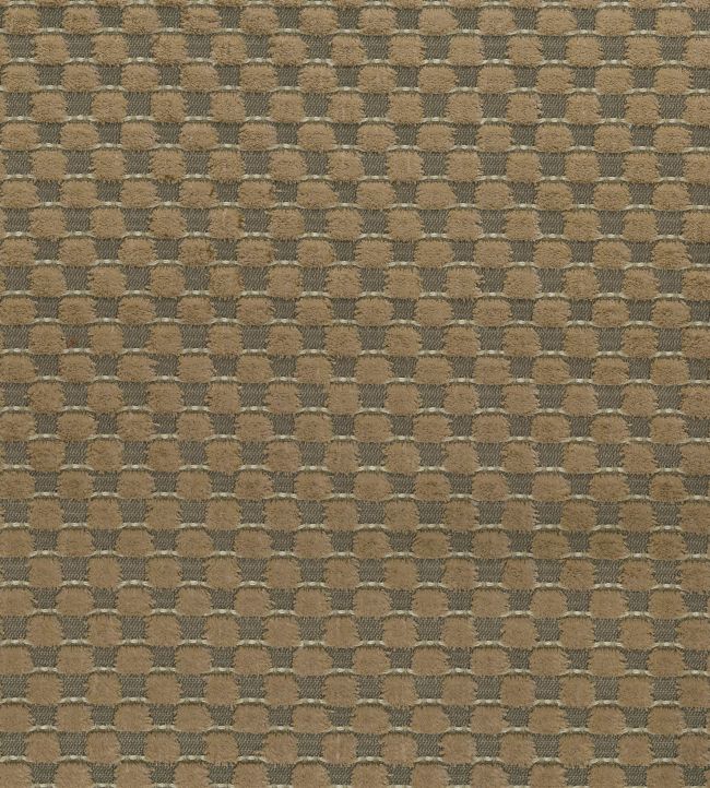 Alisa Fabric by Osborne & Little Camel