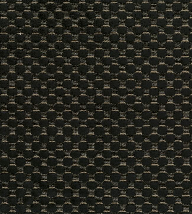 Alisa Fabric by Osborne & Little Charcoal