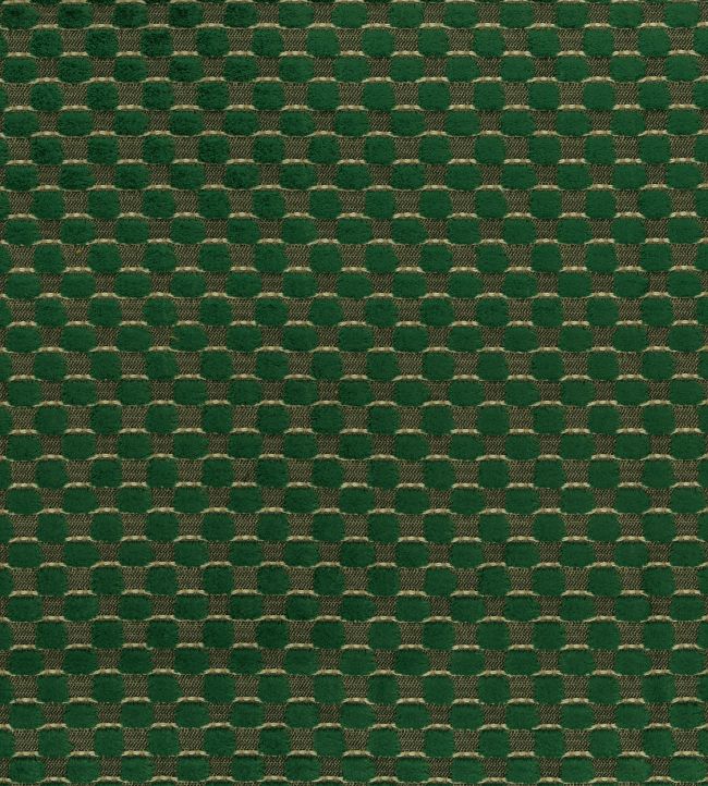 Alisa Fabric by Osborne & Little Fir