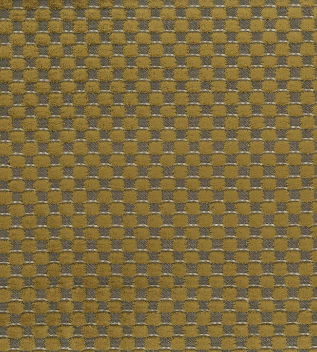 Alisa Fabric by Osborne & Little Gold