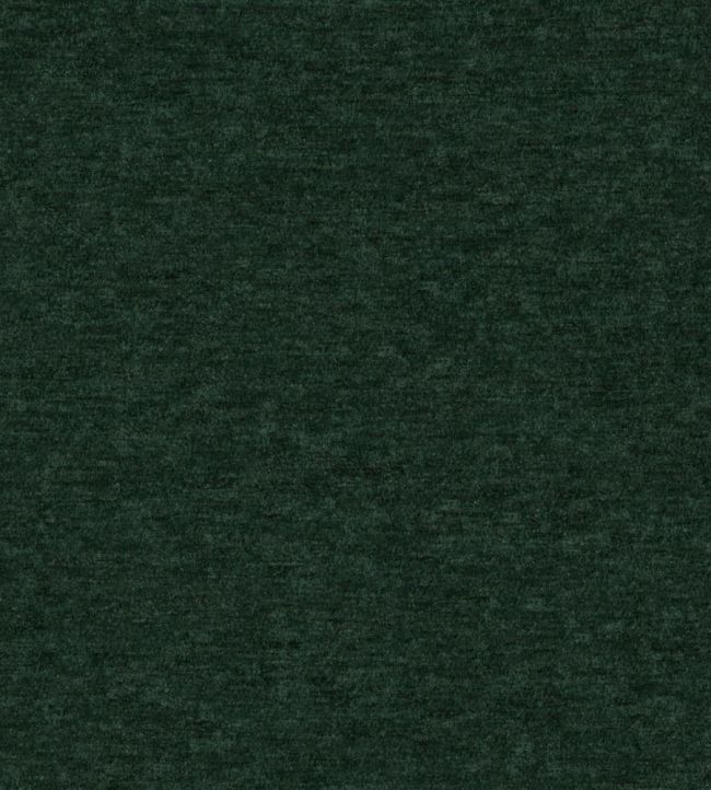Allegro Fabric by Designers Guild Fir