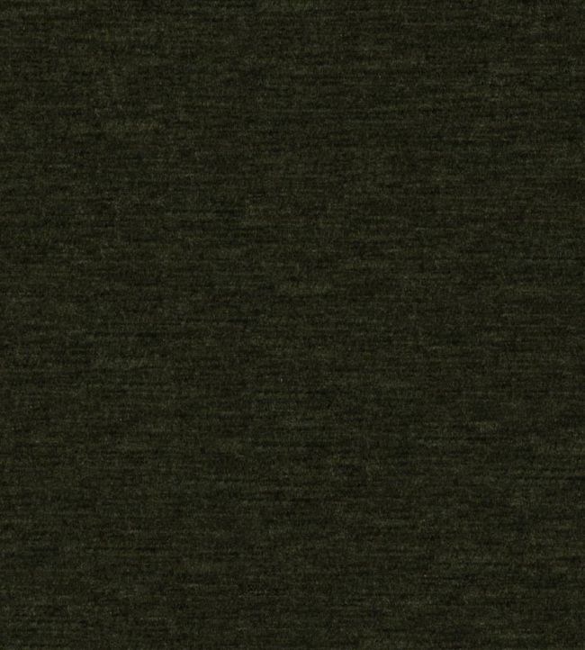 Allegro Fabric by Designers Guild Forest