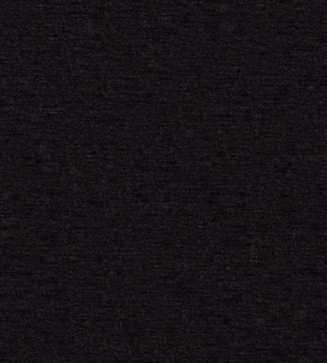 Allegro Fabric by Designers Guild Noir