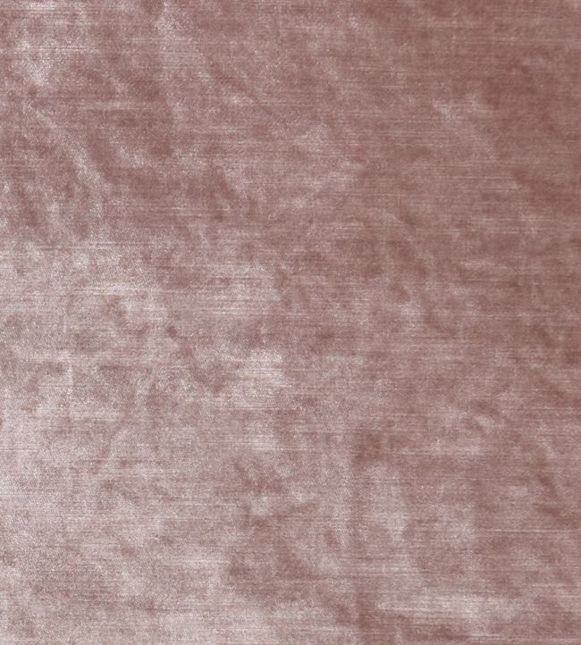 Allure Fabric by Clarke & Clarke Blush