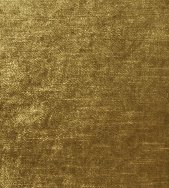 Allure Fabric by Clarke & Clarke Gold