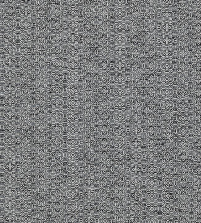 Almeida Fabric by Clarke & Clarke Charcoal