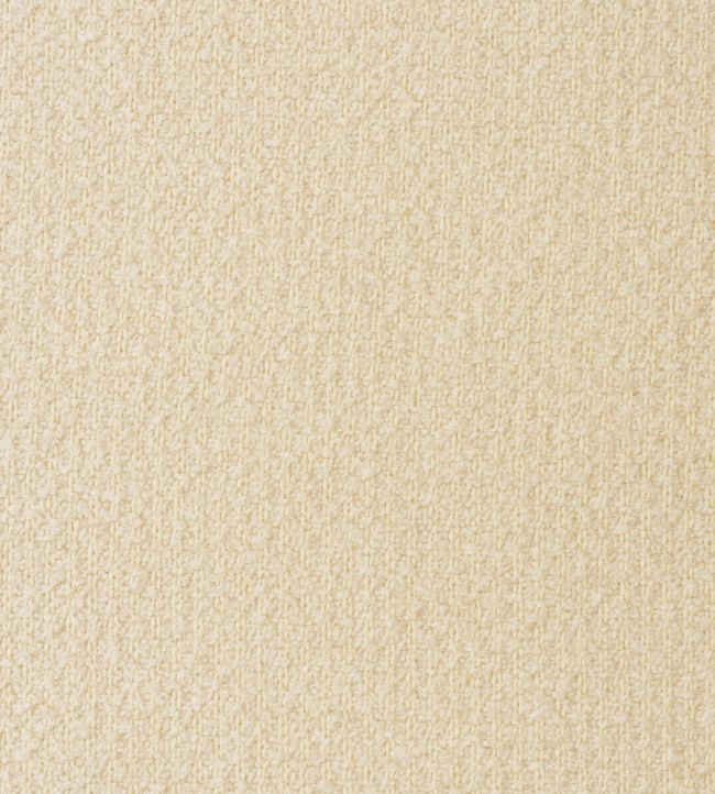 Alpine Fabric by Andrew Martin Ivory