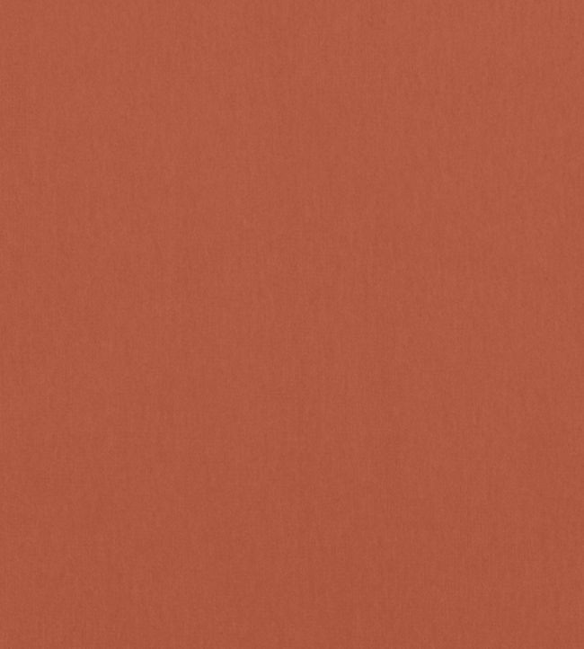 Alto Velvet Fabric by Thibaut Adobe