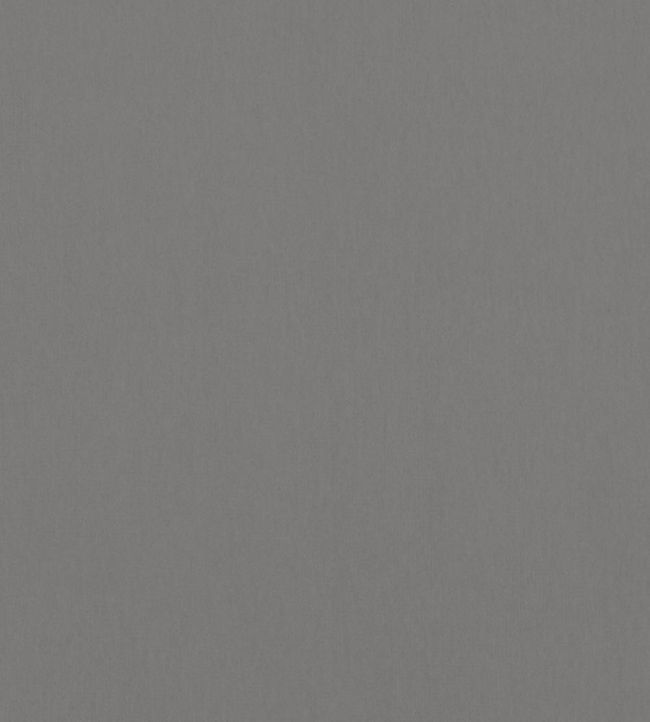 Alto Velvet Fabric by Thibaut Flannel