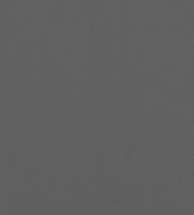 Alto Velvet Fabric by Thibaut Graphite