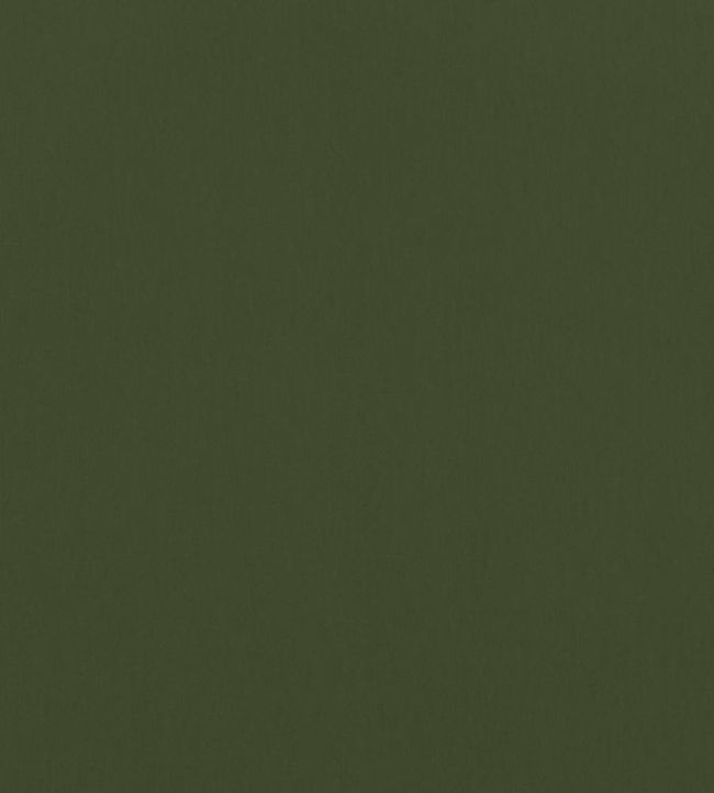 Alto Velvet Fabric by Thibaut Olive